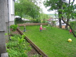 IMG_0131.jpg