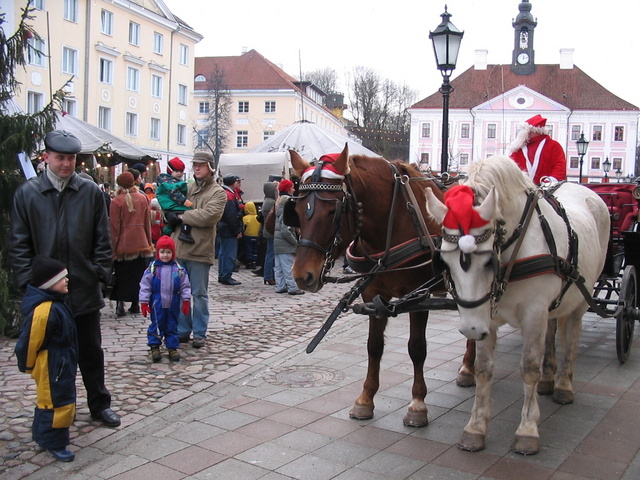 IMG_0046.jpg
