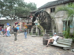 DSCN0050.jpg