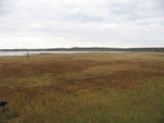 IMG_0089.jpg