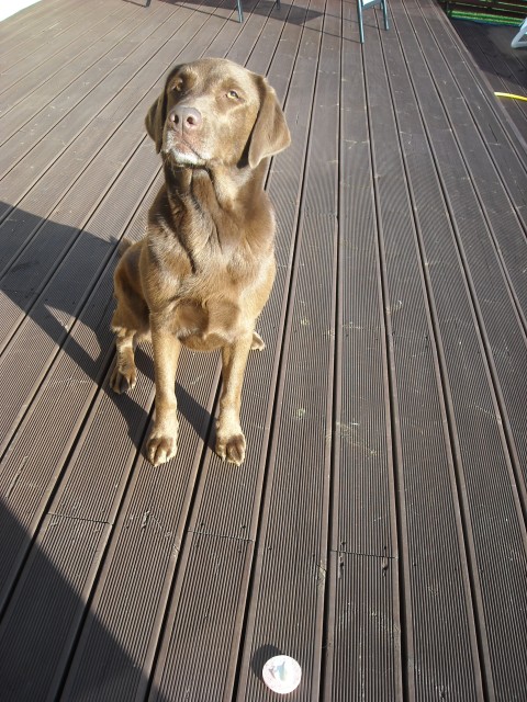DSCN0037.JPG
