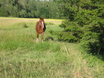 IMG_0126.jpg