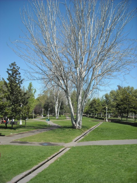 DSCN0441.JPG