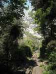 DSCN0500.JPG